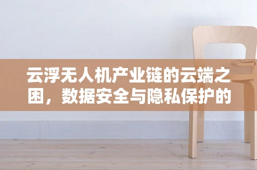 云浮无人机产业链的云端之困，数据安全与隐私保护的平衡之道
