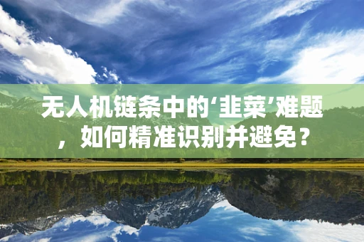 无人机链条中的‘韭菜’难题，如何精准识别并避免？