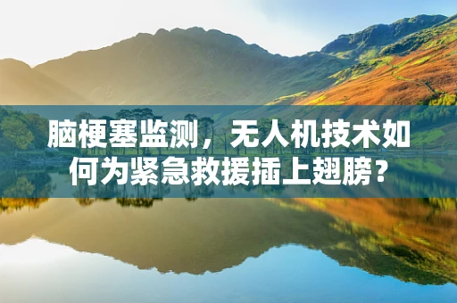 脑梗塞监测，无人机技术如何为紧急救援插上翅膀？