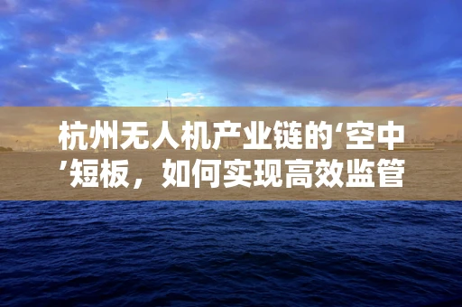 杭州无人机产业链的‘空中’短板，如何实现高效监管与技术创新？