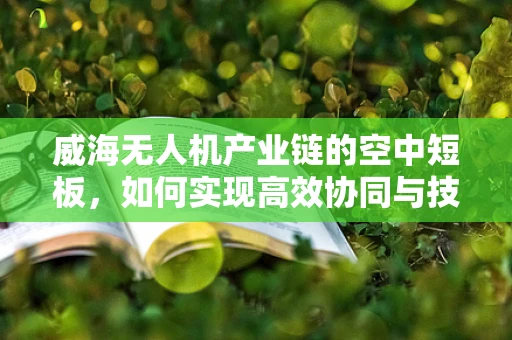 威海无人机产业链的空中短板，如何实现高效协同与技术创新？
