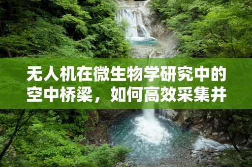 无人机在微生物学研究中的空中桥梁，如何高效采集并安全传输样本？