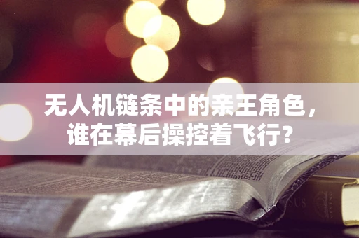 无人机链条中的亲王角色，谁在幕后操控着飞行？