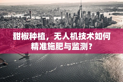 甜椒种植，无人机技术如何精准施肥与监测？