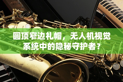 圆顶窄边礼帽，无人机视觉系统中的隐秘守护者？