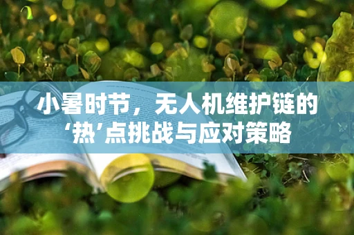 小暑时节，无人机维护链的‘热’点挑战与应对策略