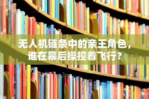 无人机链条中的亲王角色，谁在幕后操控着飞行？