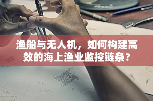 渔船与无人机，如何构建高效的海上渔业监控链条？