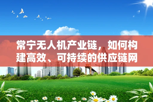 常宁无人机产业链，如何构建高效、可持续的供应链网络？