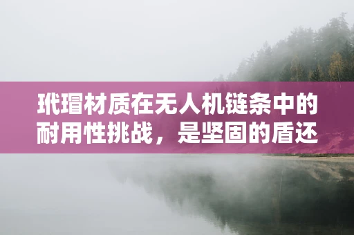玳瑁材质在无人机链条中的耐用性挑战，是坚固的盾还是脆弱的点？