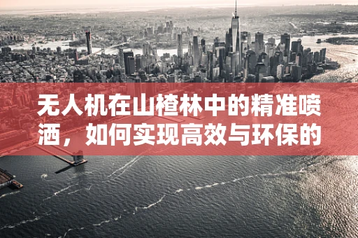 无人机在山楂林中的精准喷洒，如何实现高效与环保的平衡？