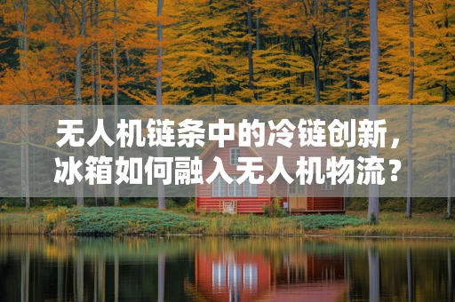 无人机链条中的冷链创新，冰箱如何融入无人机物流？