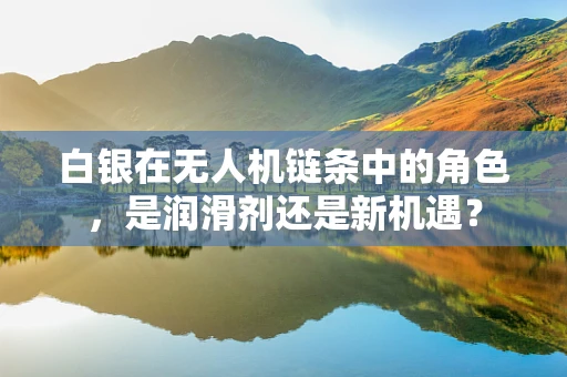 白银在无人机链条中的角色，是润滑剂还是新机遇？