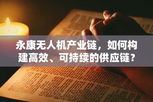 永康无人机产业链，如何构建高效、可持续的供应链？