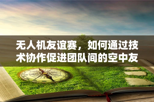 无人机友谊赛，如何通过技术协作促进团队间的空中友谊？