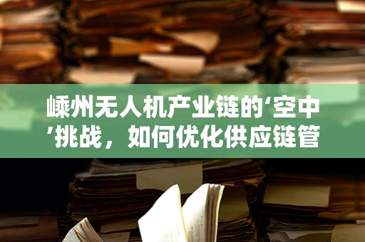嵊州无人机产业链的‘空中’挑战，如何优化供应链管理以提升竞争力？