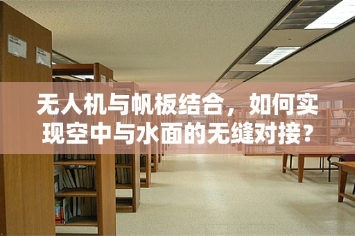 无人机与帆板结合，如何实现空中与水面的无缝对接？