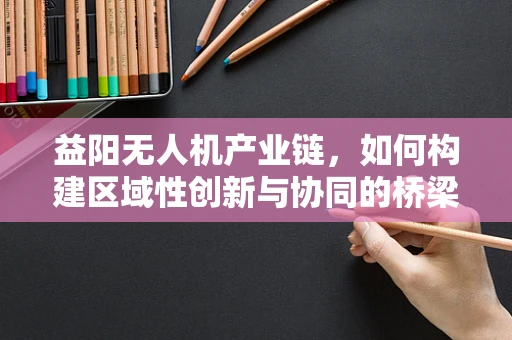 益阳无人机产业链，如何构建区域性创新与协同的桥梁？