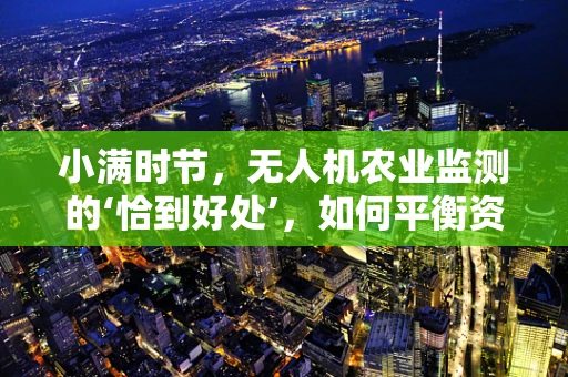 小满时节，无人机农业监测的‘恰到好处’，如何平衡资源与效率？