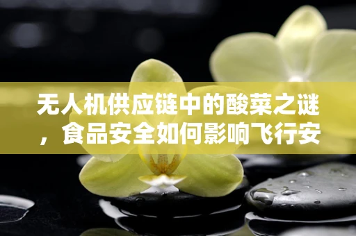 无人机供应链中的酸菜之谜，食品安全如何影响飞行安全？
