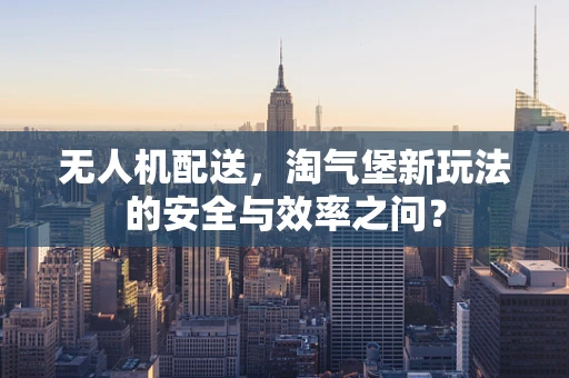 无人机配送，淘气堡新玩法的安全与效率之问？