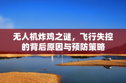 无人机炸鸡之谜，飞行失控的背后原因与预防策略