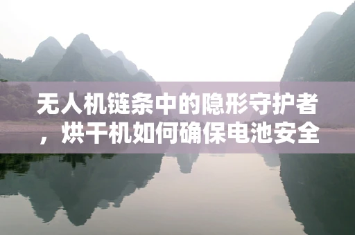 无人机链条中的隐形守护者，烘干机如何确保电池安全？