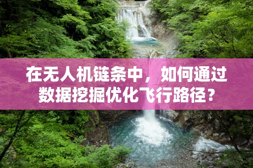 在无人机链条中，如何通过数据挖掘优化飞行路径？