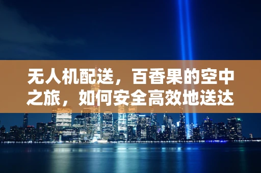 无人机配送，百香果的空中之旅，如何安全高效地送达？