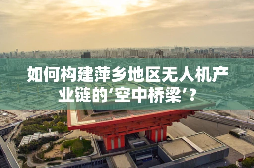 如何构建萍乡地区无人机产业链的‘空中桥梁’？
