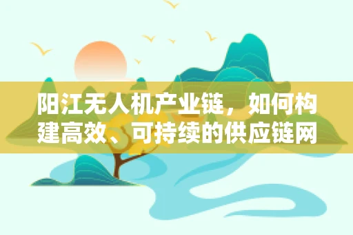 阳江无人机产业链，如何构建高效、可持续的供应链网络？