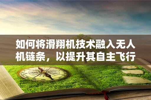 如何将滑翔机技术融入无人机链条，以提升其自主飞行与稳定性？