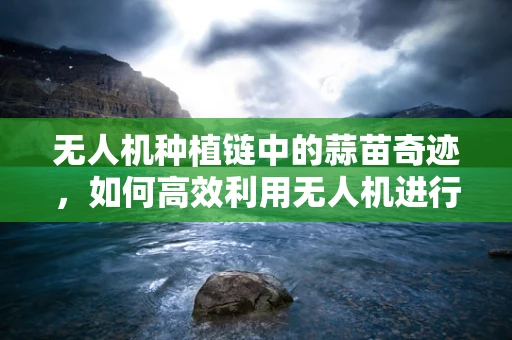 无人机种植链中的蒜苗奇迹，如何高效利用无人机进行蒜苗精准灌溉？