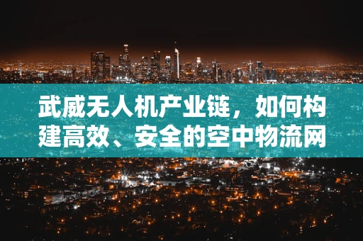 武威无人机产业链，如何构建高效、安全的空中物流网络？
