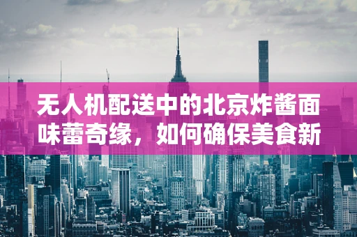 无人机配送中的北京炸酱面味蕾奇缘，如何确保美食新鲜与安全？