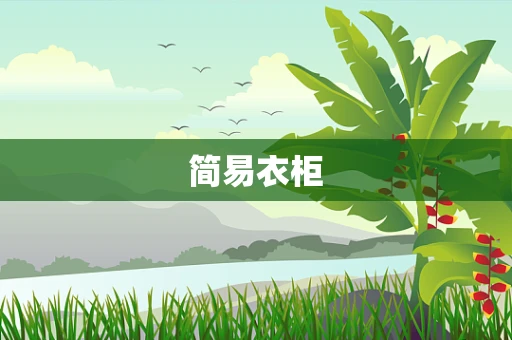 简易衣柜