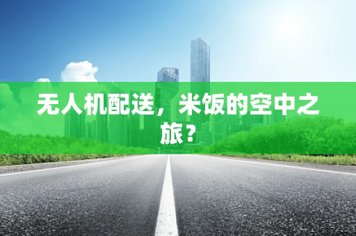 无人机配送，米饭的空中之旅？