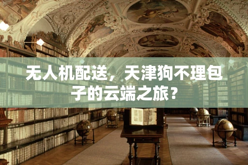 无人机配送，天津狗不理包子的云端之旅？