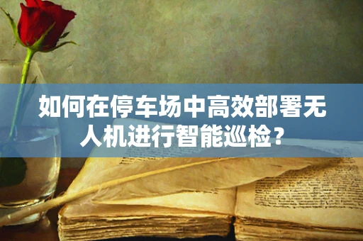 如何在停车场中高效部署无人机进行智能巡检？