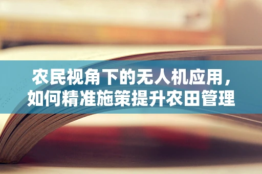 农民视角下的无人机应用，如何精准施策提升农田管理效率？