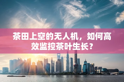 茶田上空的无人机，如何高效监控茶叶生长？