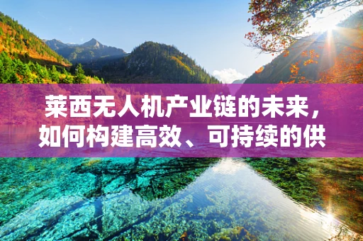 莱西无人机产业链的未来，如何构建高效、可持续的供应链？
