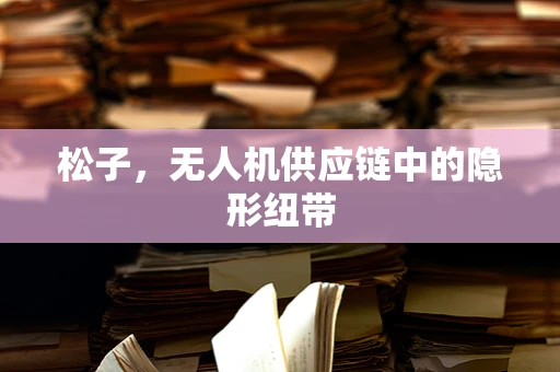 松子，无人机供应链中的隐形纽带