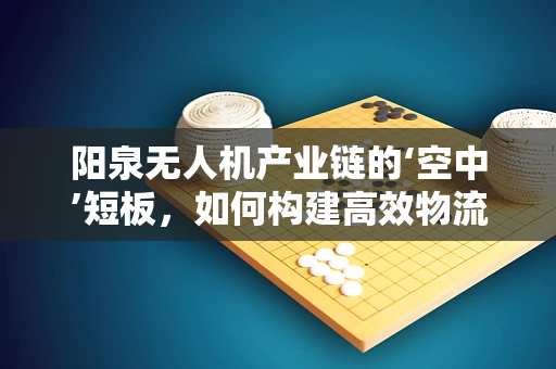 阳泉无人机产业链的‘空中’短板，如何构建高效物流配送网络？