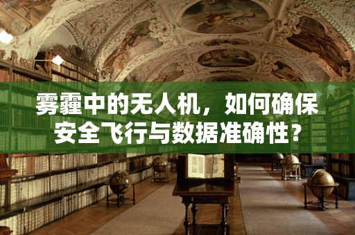 雾霾中的无人机，如何确保安全飞行与数据准确性？