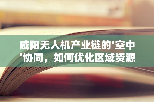 咸阳无人机产业链的‘空中’协同，如何优化区域资源配置？