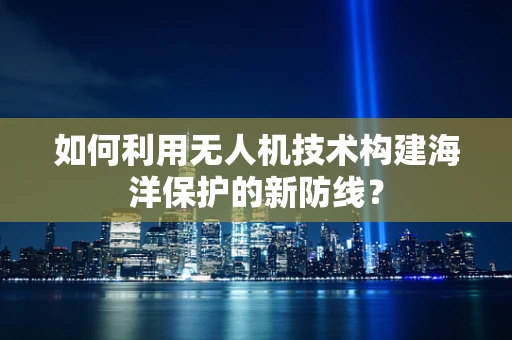 如何利用无人机技术构建海洋保护的新防线？
