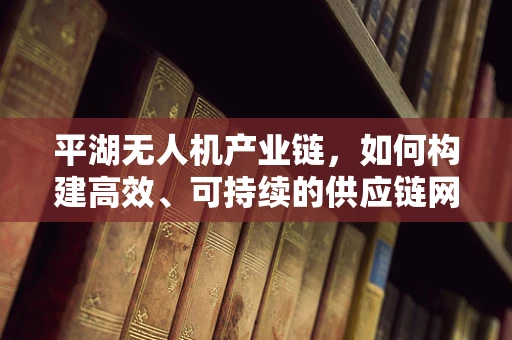 平湖无人机产业链，如何构建高效、可持续的供应链网络？