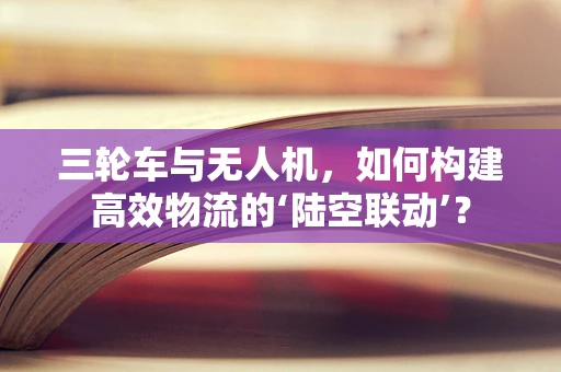 三轮车与无人机，如何构建高效物流的‘陆空联动’？