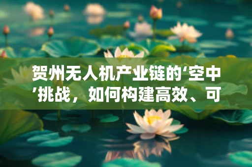贺州无人机产业链的‘空中’挑战，如何构建高效、可持续的无人机生态系统？
